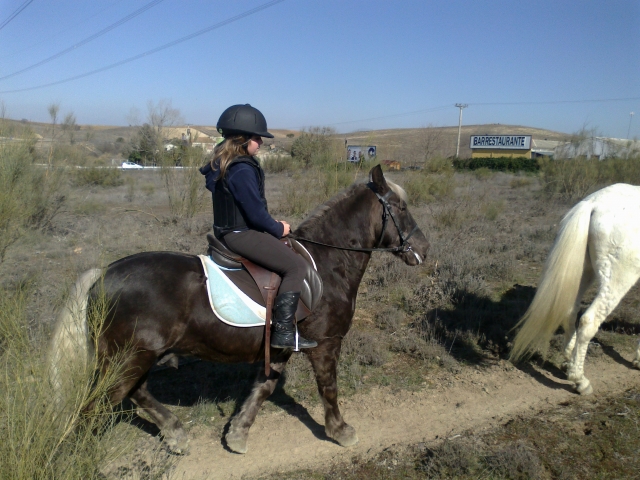  Corsi di equitazione a Madrid 